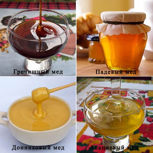 Целебные свойства меда