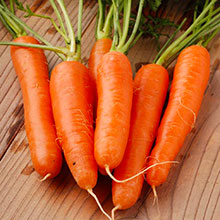 Как вырастить морковь здоровой и вкусной
